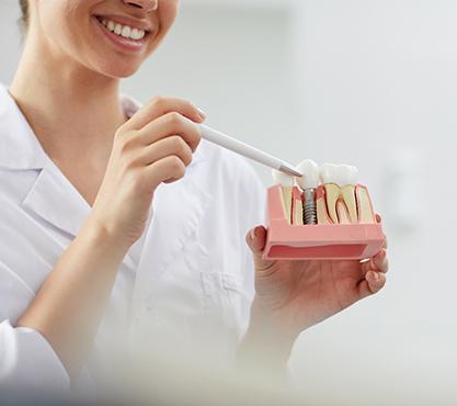 Dentist showing a patient a model of how dental implants work